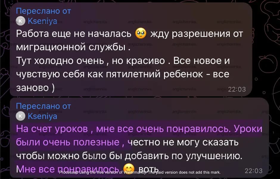 Ksenia, iOS developer's review of classes at Enlerno online business English school